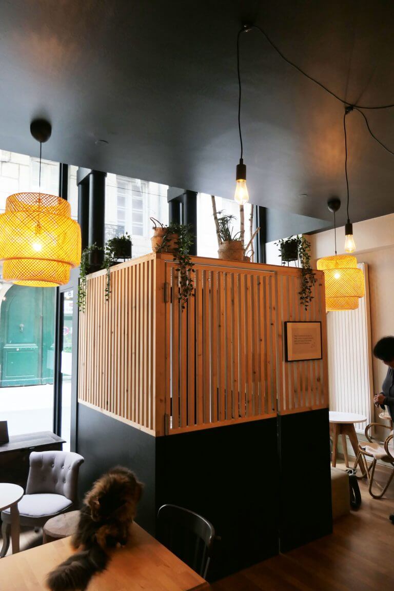 Nos réalisations : aménagement intérieur du bar à chats la patte de velours à Saint-Etienne